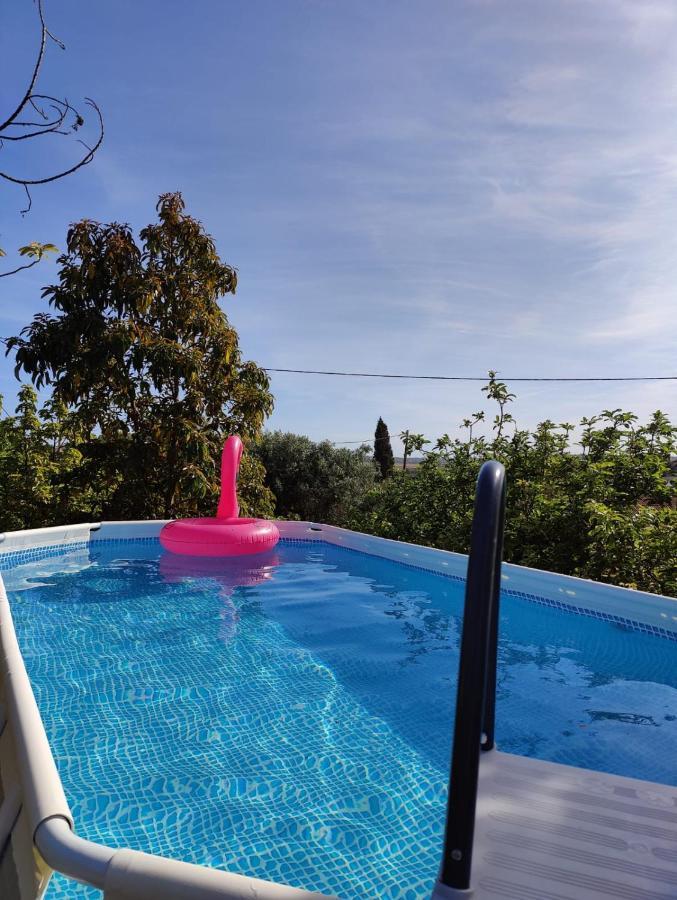 Casa Azul-Tiny House With Fantastic View, Big Outdoor Space And Pool Silves Eksteriør bilde