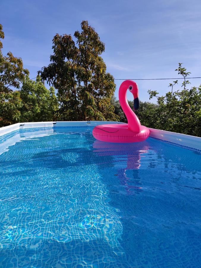 Casa Azul-Tiny House With Fantastic View, Big Outdoor Space And Pool Silves Eksteriør bilde